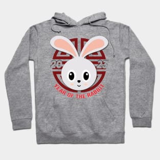 2023 Year of the Rabbit Hoodie